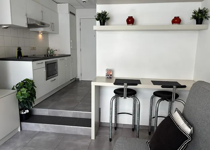Charming Studio In Central Brussels - Walk Everywhere!